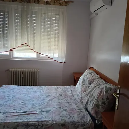 Elena Center شقة تيميشورا