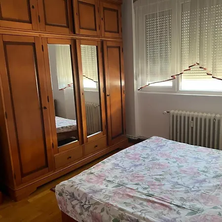 Elena Center * Temesvár