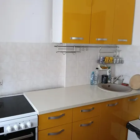 Apartment Elena Center Timisoara