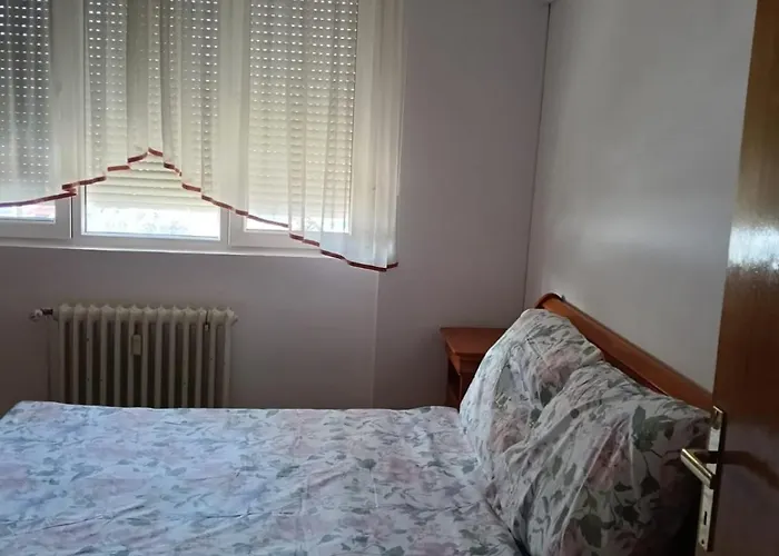 Elena Center Apartment Timisoara