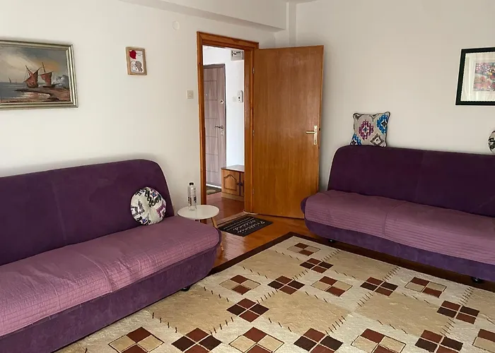 Elena Center Apartment Timisoara