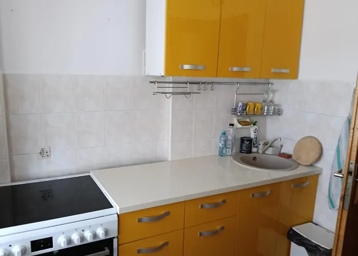 Apartment Elena Center Timisoara